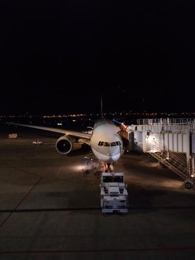 カタール航空成田-ドーハQR807ビジネスクラス搭乗記