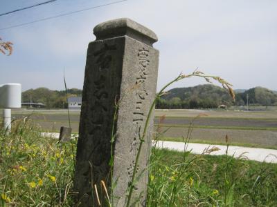 「伊賀路」　と　「初瀬路」　のはざまを歩く