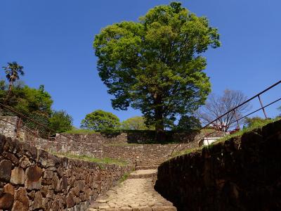 金山城ちょこっと旅　日本100名城巡りの巻