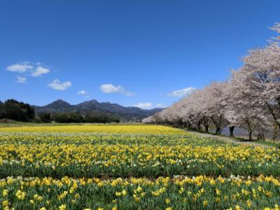 春色を追いかけて～群馬へ１泊２日旅～前編