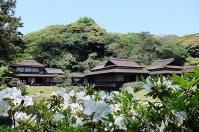 2017.04.29 三渓園に行ってみよう。おまけはフリューリングスフェスト