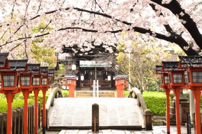 ひとりお花見部 2017⑤　三日目は花まつり まるき製パンからスタート～六孫王神社～因幡薬師