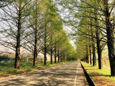 滋賀県への旅