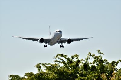 伊丹空港千里川から飛行機撮影