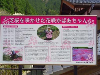 せせらぎ街道の國田家の芝桜＆清見町大原かたくり群生地