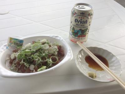 2016年12月　冬の八重山へ（2日目-3）～帰路へ