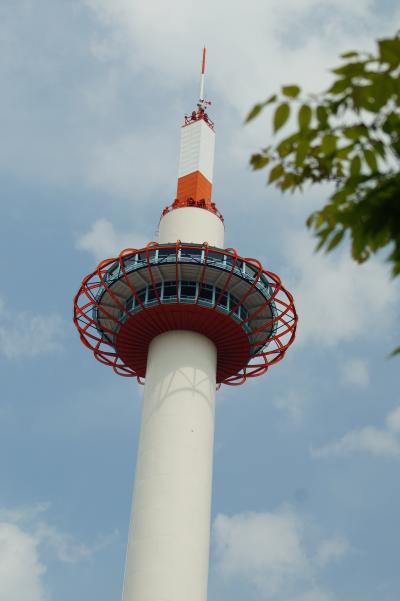 キリシマツツジ満開の長岡天満宮漂流