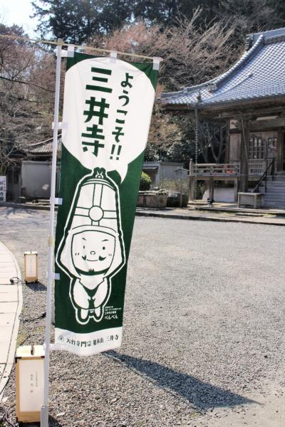 2017年春の京都、桜は遅かったけど楽しめました（三井寺、日吉大社、石山寺、京都府立植物園）