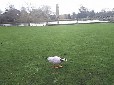 2017年また冬のロンドンへ。