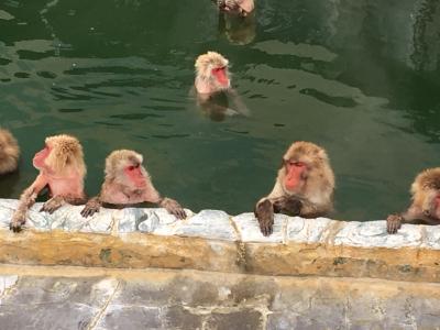 マイレージを使って函館に行ってみた。三日目、お猿の温泉の熱帯植物園、トラピチヌス修道院