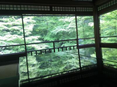 京都　少しマイナーな深緑の名所めぐり