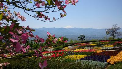 春の山梨、勝沼＆笛吹の花スポット