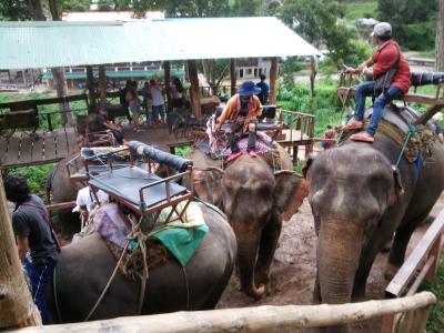 タイ世界遺産とビーチの旅～4日目、エレファントキャンプ編～