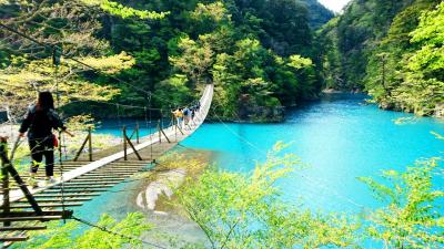 夢の吊り橋