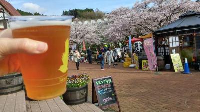 2016年4月の御殿場　花より御殿場高原ビール！飲み放題の夕食リベンジの宿、翌日は山梨県の「忍野八海」まで足を延ばし、富士霊園の桜並木も見てきました