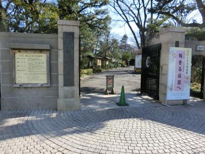小石川後楽園で梅(2017年2月)