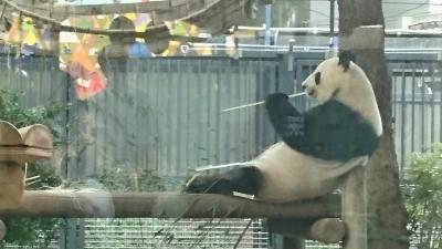 北海道発、パンダと東京スカイツリーの旅　東京観光１日目