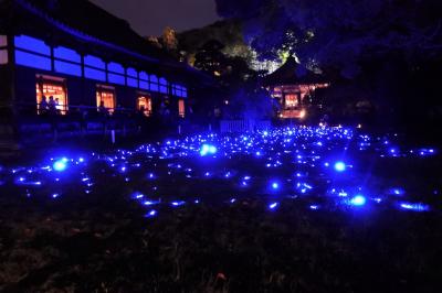 ＧＷ　五月晴れの京都へ②　祇園・東山編