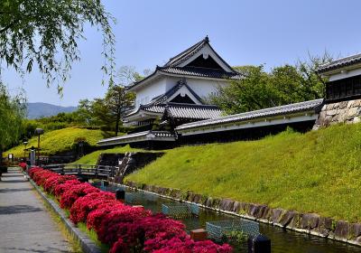 青嵐薫風　長岡京逍遥③勝龍寺城跡（エピローグ）