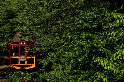 保津峡と嵯峨野トロッコ列車周辺に広がる新緑の風景を探しに訪れてみた