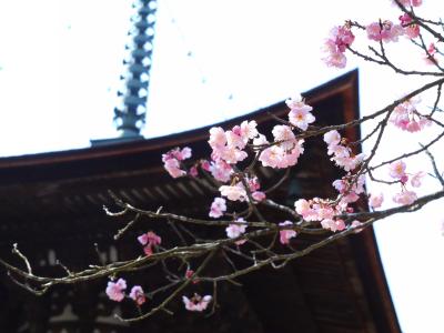 女子旅・・・・きっとこれが女子旅　石山寺と南郷温泉　