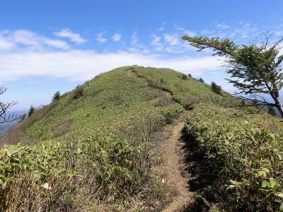 大展望の川上岳（かおれだけ）に登る