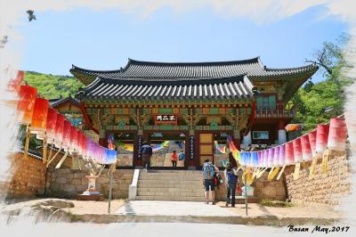 【韓国（釜山）】緑豊かな景観が見事！釜山のパワースポット「梵魚寺（ポモサ）」