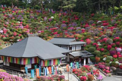 ブララブコー 「色鮮やかな躑躅にうっとり！塩船観音寺 & 御岳山・奥多摩ドライブ旅」