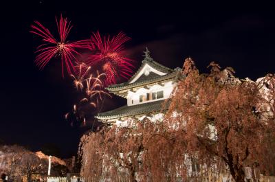 桜を追って弘前へ