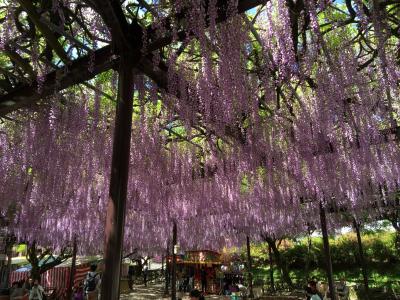 2017GW家族旅行（福岡県八女市）