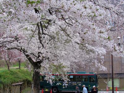 ＃東北で良かった！福島県喜多方市日中線の満開のしだれ桜に感動しました。その2（蔵の街と湯野上温泉駅）