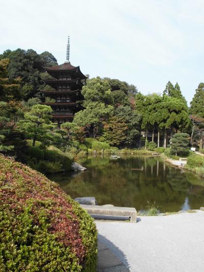 山口･津和野旅物語　（１）山口市内観光