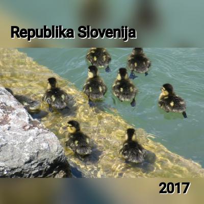 鳥の囀りで目覚める旅（１）・スロヴェニア編　2017年 GW