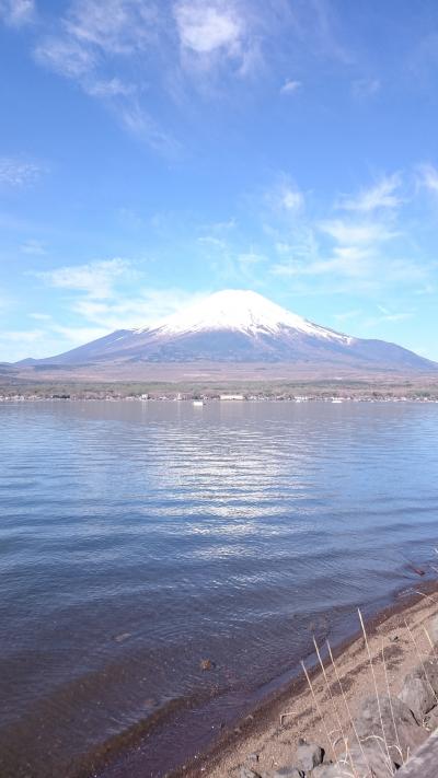 富士山、見てきました！