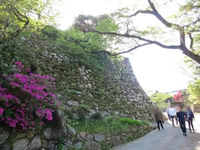 【日本100名城に行こう】新緑の松阪城と満腹牛銀ランチ