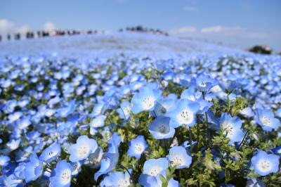 世界の絶景？話題の「青の世界」を堪能してきました