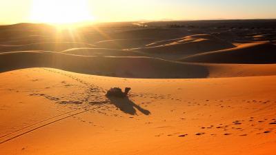 モロッコ サハラ砂漠/フェズ