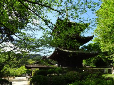 島田－近江八幡－大津－京都　巡り　３