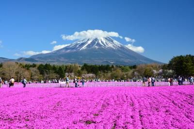 富士山大展望！竜ヶ岳ハイキングと富士芝桜まつり