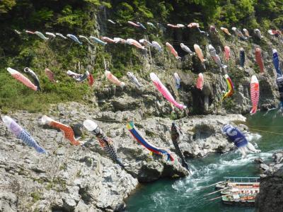 GW弾丸旅行2017（2）新緑の大歩危・小歩危、かずら橋