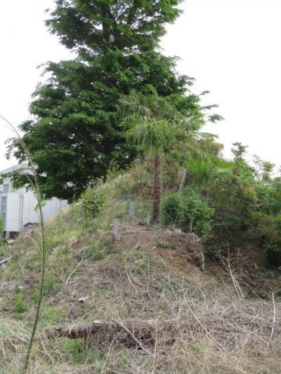 武蔵高坂 10世紀初頭当地に館を構えた鎮守府将軍藤原利仁を崇敬し隣接の古墳丘陵に利仁神社を勧請した鎌倉御家人『野本氏居館跡』訪問