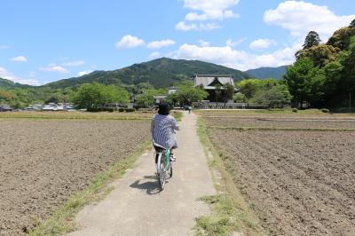 久しぶりの明日香路サイクリング、でも、もう若くないわと悟ったＧＷ。