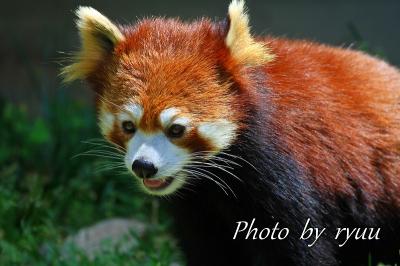 再び　とべ動物園へ！！