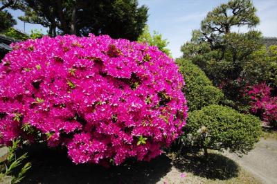 旧西尾家住宅（吹田文化創造交流館）に行った