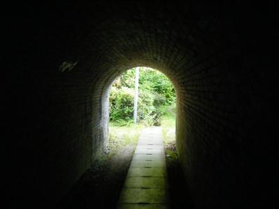 調布~高尾山口 30kmハイキング