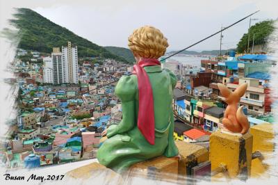 【韓国（釜山）】釜山の新観光名所！アート系路地集落「甘川洞文化村（カムチョンドンムナマウル）」