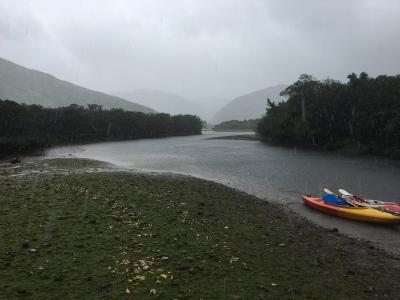 雨の奄美大島を気合いで満喫。マングローブカヌーとグルメ旅