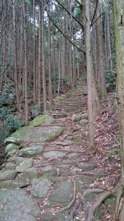 熊野三社参り  松本峠と花の窟神社  七里御浜海岸