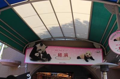 パンダに会いに白浜へ  その２