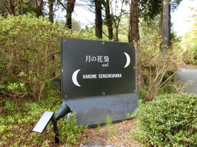 箱根の美術館めぐり＆月の花　梟（あうる）宿泊　　宿泊編